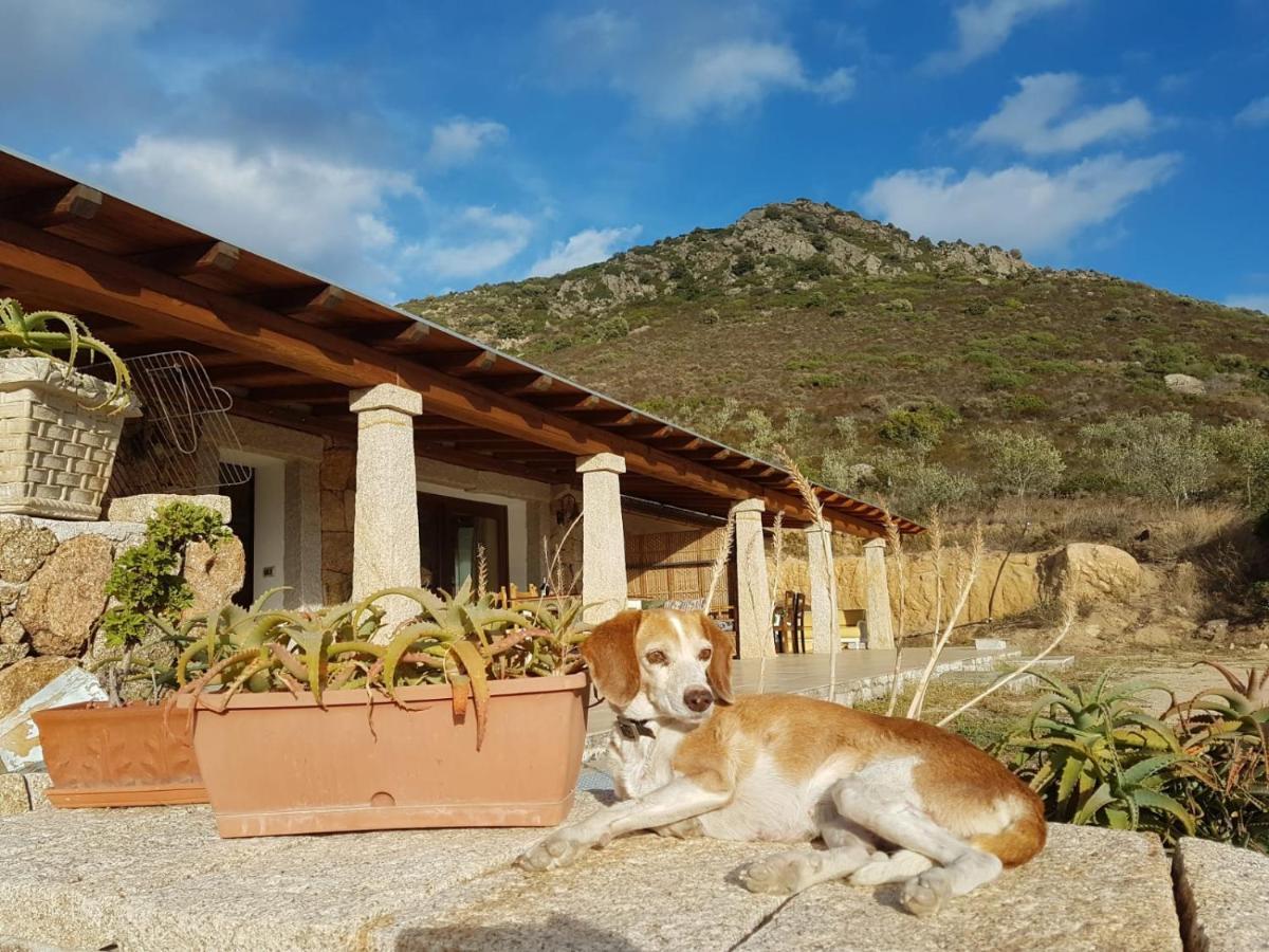 Villetta Osseddu Olbia Exterior foto